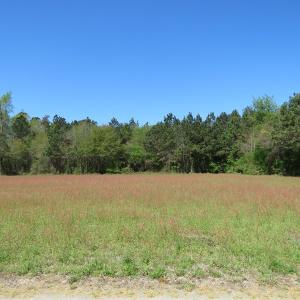 Photo #16 of SOLD property in 392 Hedgpeth Road, Fairmont, NC 15.3 acres