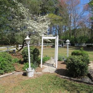 Photo #9 of SOLD property in 392 Hedgpeth Road, Fairmont, NC 15.3 acres