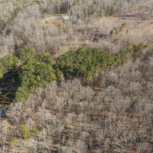 Photo #9 of Lot-B Lake Shore Drive & Lot-38B Oakwood Lane & Lot-17, Pointe Mayo Drive, Roxboro , NC 31.1 acres