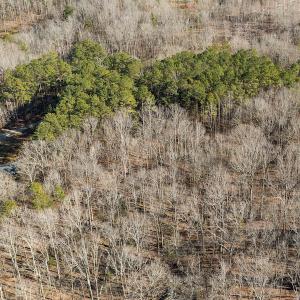 Photo #10 of Lot-B Lake Shore Drive & Lot-38B Oakwood Lane & Lot-17, Pointe Mayo Drive, Roxboro , NC 31.1 acres