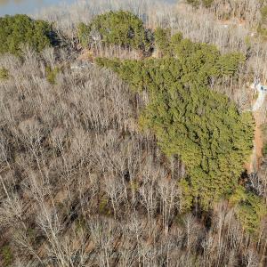 Photo #12 of Lot-B Lake Shore Drive & Lot-38B Oakwood Lane & Lot-17, Pointe Mayo Drive, Roxboro , NC 31.1 acres