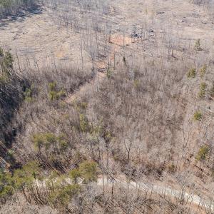 Photo #3 of Lot-B Lake Shore Drive & Lot-38B Oakwood Lane & Lot-17, Pointe Mayo Drive, Roxboro , NC 31.1 acres