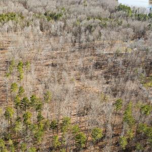 Photo #16 of Lot-B Lake Shore Drive & Lot-38B Oakwood Lane & Lot-17, Pointe Mayo Drive, Roxboro , NC 31.1 acres