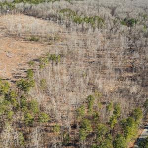 Photo #17 of Lot-B Lake Shore Drive & Lot-38B Oakwood Lane & Lot-17, Pointe Mayo Drive, Roxboro , NC 31.1 acres