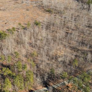 Photo #18 of Lot-B Lake Shore Drive & Lot-38B Oakwood Lane & Lot-17, Pointe Mayo Drive, Roxboro , NC 31.1 acres