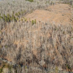 Photo #19 of Lot-B Lake Shore Drive & Lot-38B Oakwood Lane & Lot-17, Pointe Mayo Drive, Roxboro , NC 31.1 acres