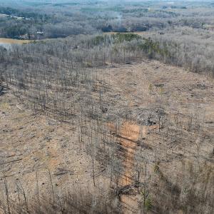 Photo #20 of Lot-B Lake Shore Drive & Lot-38B Oakwood Lane & Lot-17, Pointe Mayo Drive, Roxboro , NC 31.1 acres