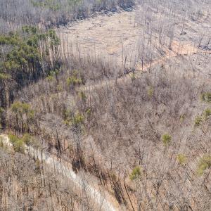 Photo #4 of Lot-B Lake Shore Drive & Lot-38B Oakwood Lane & Lot-17, Pointe Mayo Drive, Roxboro , NC 31.1 acres