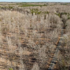 Photo #22 of Lot-B Lake Shore Drive & Lot-38B Oakwood Lane & Lot-17, Pointe Mayo Drive, Roxboro , NC 31.1 acres