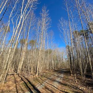 Photo #25 of Lot-B Lake Shore Drive & Lot-38B Oakwood Lane & Lot-17, Pointe Mayo Drive, Roxboro , NC 31.1 acres