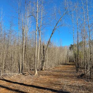 Photo #27 of Lot-B Lake Shore Drive & Lot-38B Oakwood Lane & Lot-17, Pointe Mayo Drive, Roxboro , NC 31.1 acres
