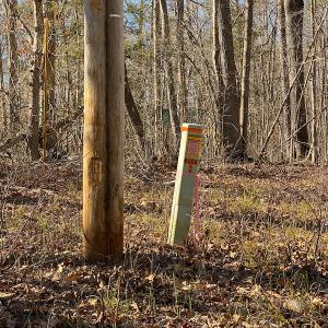 Photo #30 of Lot-B Lake Shore Drive & Lot-38B Oakwood Lane & Lot-17, Pointe Mayo Drive, Roxboro , NC 31.1 acres