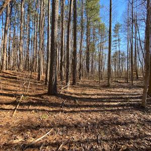 Photo #32 of Lot-B Lake Shore Drive & Lot-38B Oakwood Lane & Lot-17, Pointe Mayo Drive, Roxboro , NC 31.1 acres