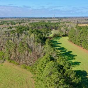 Photo #2 of SOLD property in OFF HWY 46, Garysburg, NC 138.8 acres