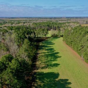Photo #3 of SOLD property in OFF HWY 46, Garysburg, NC 138.8 acres