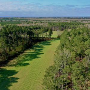 Photo #4 of SOLD property in OFF HWY 46, Garysburg, NC 138.8 acres