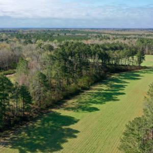 Photo #5 of SOLD property in OFF HWY 46, Garysburg, NC 138.8 acres