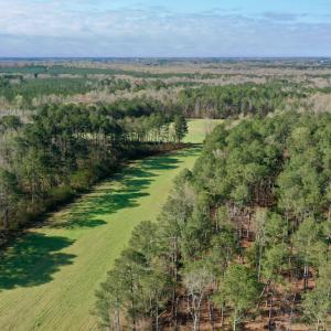 Photo #6 of SOLD property in OFF HWY 46, Garysburg, NC 138.8 acres