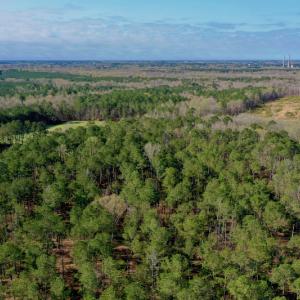 Photo #7 of SOLD property in OFF HWY 46, Garysburg, NC 138.8 acres