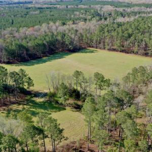 Photo #8 of SOLD property in OFF HWY 46, Garysburg, NC 138.8 acres