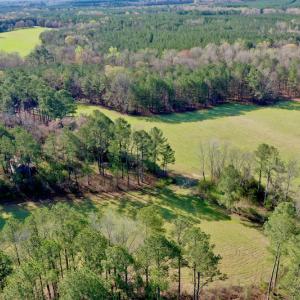 Photo #9 of SOLD property in OFF HWY 46, Garysburg, NC 138.8 acres