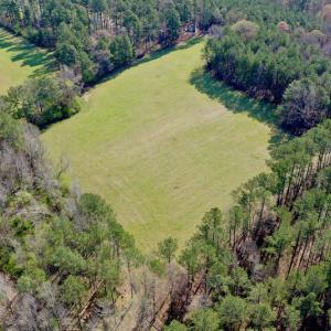 Photo #10 of SOLD property in OFF HWY 46, Garysburg, NC 138.8 acres