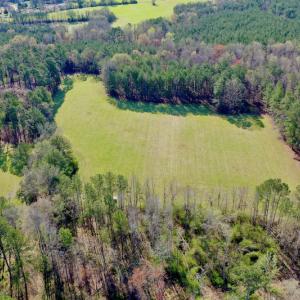 Photo #11 of SOLD property in OFF HWY 46, Garysburg, NC 138.8 acres