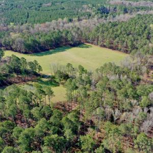 Photo #12 of SOLD property in OFF HWY 46, Garysburg, NC 138.8 acres