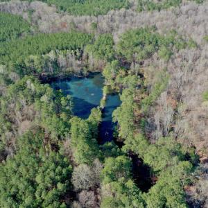 Photo #13 of SOLD property in OFF HWY 46, Garysburg, NC 138.8 acres