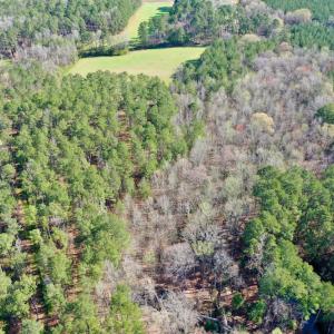 Photo #14 of SOLD property in OFF HWY 46, Garysburg, NC 138.8 acres