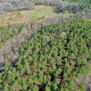 Photo #15 of SOLD property in OFF HWY 46, Garysburg, NC 138.8 acres