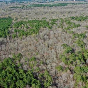 Photo #16 of SOLD property in OFF HWY 46, Garysburg, NC 138.8 acres