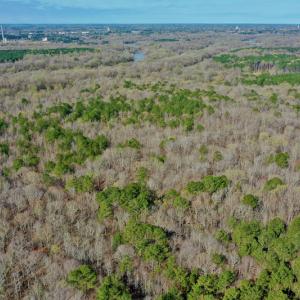 Photo #18 of SOLD property in OFF HWY 46, Garysburg, NC 138.8 acres