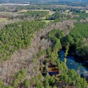 Photo #19 of SOLD property in OFF HWY 46, Garysburg, NC 138.8 acres