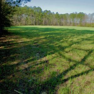 Photo #21 of SOLD property in OFF HWY 46, Garysburg, NC 138.8 acres