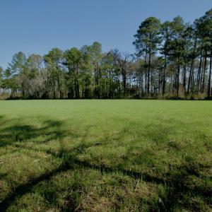 Photo #22 of SOLD property in OFF HWY 46, Garysburg, NC 138.8 acres