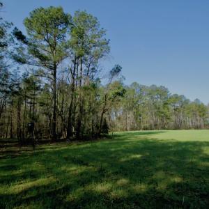 Photo #23 of SOLD property in OFF HWY 46, Garysburg, NC 138.8 acres