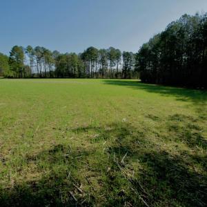 Photo #24 of SOLD property in OFF HWY 46, Garysburg, NC 138.8 acres