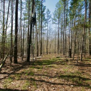 Photo #28 of SOLD property in OFF HWY 46, Garysburg, NC 138.8 acres