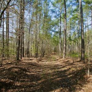 Photo #30 of SOLD property in OFF HWY 46, Garysburg, NC 138.8 acres