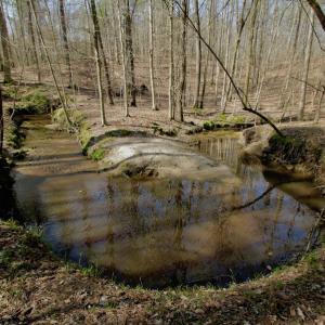Photo #36 of SOLD property in OFF HWY 46, Garysburg, NC 138.8 acres