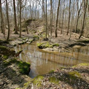 Photo #39 of SOLD property in OFF HWY 46, Garysburg, NC 138.8 acres