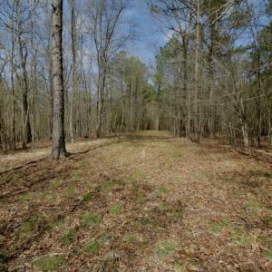 Photo #41 of SOLD property in OFF HWY 46, Garysburg, NC 138.8 acres