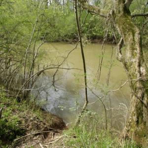 Photo #42 of SOLD property in OFF HWY 46, Garysburg, NC 138.8 acres