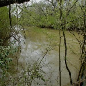 Photo #43 of SOLD property in OFF HWY 46, Garysburg, NC 138.8 acres