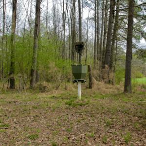 Photo #46 of SOLD property in OFF HWY 46, Garysburg, NC 138.8 acres
