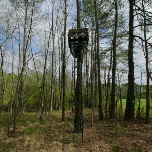 Photo #47 of SOLD property in OFF HWY 46, Garysburg, NC 138.8 acres
