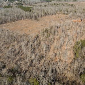Photo #26 of Lot-B Lake Shore Drive & Lot-38B Oakwood Lane, Roxboro, NC 24.7 acres