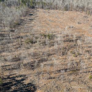 Photo #29 of Lot-B Lake Shore Drive & Lot-38B Oakwood Lane, Roxboro, NC 24.7 acres