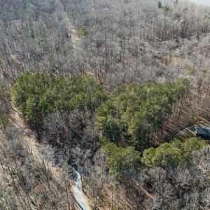 Photo #6 of Lot-B Lake Shore Drive & Lot-38B Oakwood Lane, Roxboro, NC 24.7 acres